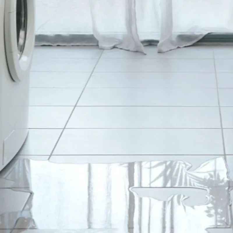 Appliance Leak Cleanup in Edgerton, OH