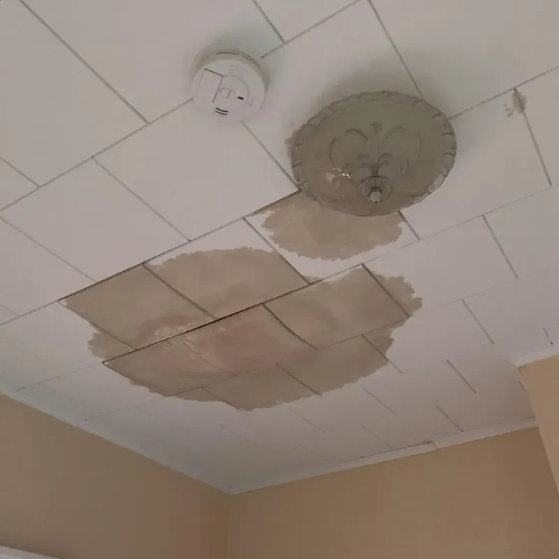 Ceiling Water Damage Repair in Edgerton, OH