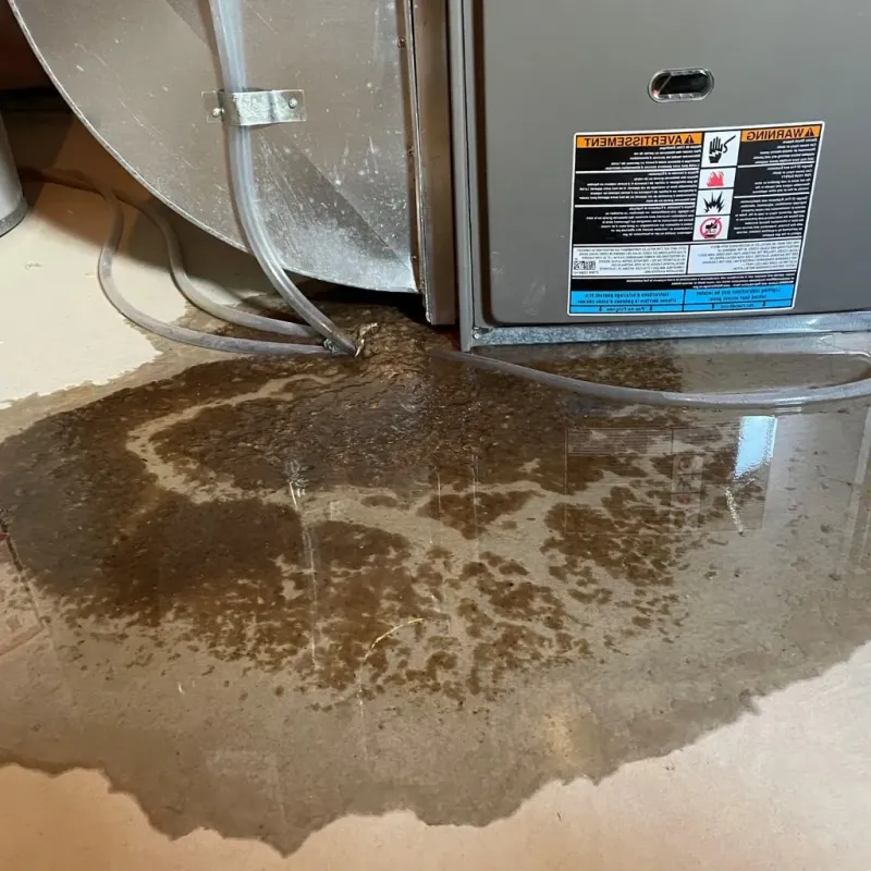 Pipe Burst and Leak Restoration in Edgerton, OH