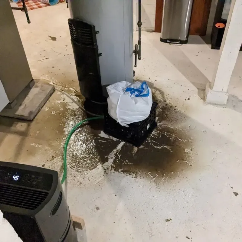 Sewage Backup Cleanup Service in Edgerton, OH